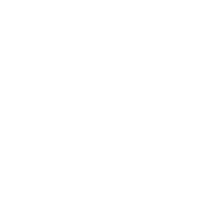 Non au Viol